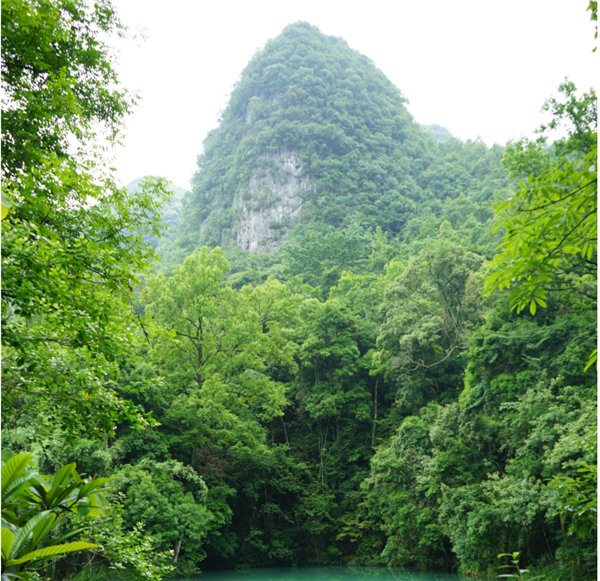 賞華夏大地，游多彩貴州-－2021年廣東博皓快樂行-2