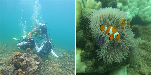 暢游碧海藍天，共筑團隊夢想—博皓沙巴風情之旅        -4